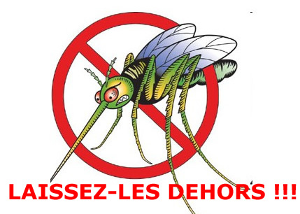 Moustiquaire